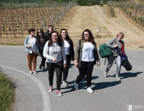 Scuola internazionale: Scienze della salute e società